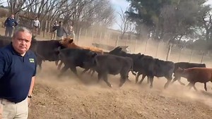 43K views · 46 reactions | Policía de Córdoba - Argentina on Reels | Facebook