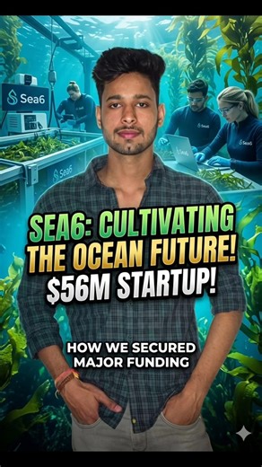 Next Big Startup: Sea6 🚀 #startups #makeinindia #makemoney #business #seabusiness