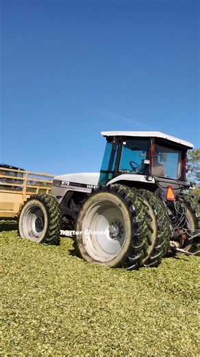 White 6175 tractor packing silage | Tractor Chasers