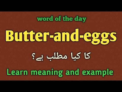 Butter and eggs meaning in urdu |english |butter and eggs ka matlab