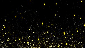 422 reactions · 61 shares | “I want to live hidden in the world that...