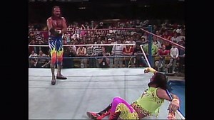 NOV. 27, 1991 WWF Pay Per Views Chasing That W