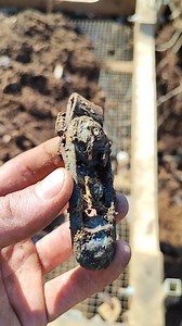 Kriegsmarine dagger / sword hanger decoration! You can see two lion heads with remnants of leather still between them #metaldetecting #explore #sifting #WorldWarII #history #adventures #germany #reels #artifacts #treasurehunt #wwiihistory #wwii #diggers #wwiiunknown | WWII-Unknown