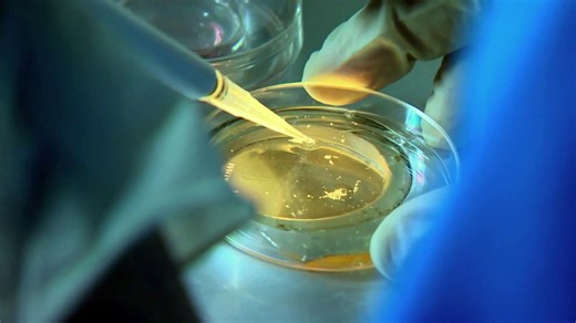 Breakthrough Genetic Screening Offers New IVF Hope for Families