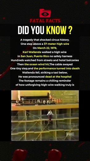 He Refused a Safety Net… and Fell #tragicstory #shorts #fyp