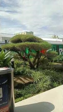 The atmosphere of Bandung Station, West Java