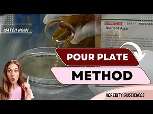 Pour Plate Method for Isolation of #bacteria #microbiology