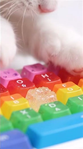 ASMR | Tingles Guaranteed! A Cat Typing on a Jelly Keyboard (No Talking) #asmr #ai