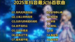 2025年抖音最火的16首热门歌曲合集