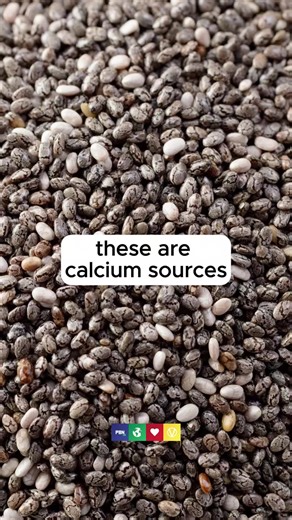 Plant-Based Calcium Sources You Should Know