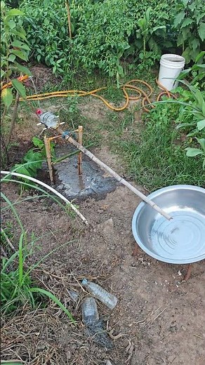 Ingenious and environmentally friendly bird repellent method - hydraulic device