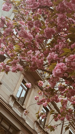 Por muchos años viví una maternidad con prisas… sin mañanas lentas, sin festivales, sin el ir y venir de la escuela. Muchos de sus años se me escaparon entre rutinas y pendientes, sin darme el tiempo de verlos crecer con calma. Hasta que un día decidí poner pausa. Decidí renunciar a las prisas y elegir ser una mamá presente. Una mamá que disfruta los días sin correr, que los acompaña, que los mira, que vive cada etapa con el corazón despierto. Hoy vivo sus años con calma, con propósito, disfruta