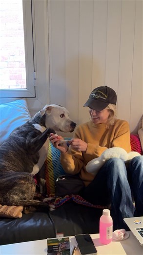 this is gandi on Instagram: "muy bien"