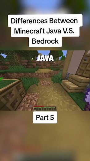 Differences Between Minecraft Java V.S. Bedrock | minecraft