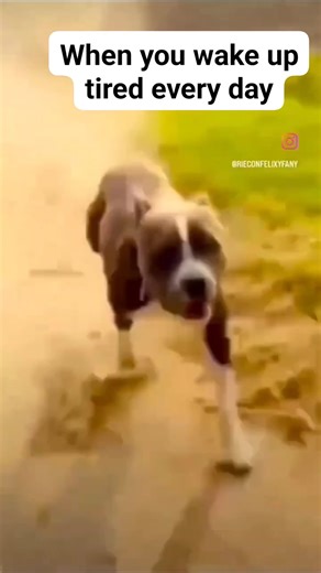 #couplecomedy | Oga's tv