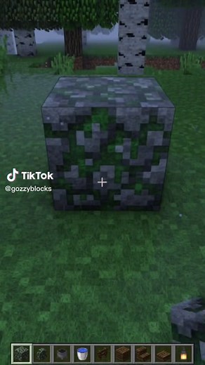 Build a Water Well in Minecraft