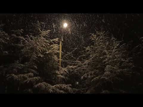 1 Hour Snowfall by a Warm Street Lamp Calm Winter Night Ambience