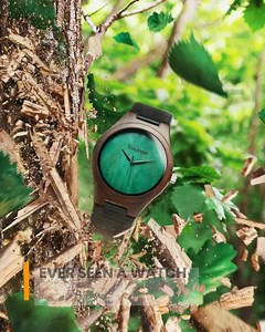 25 reactions | Reconnect With Your Adventurous Side  On 헦헔헟험 NOW  www.mytruwood.com  10 Trees Planted for Every Order ⚒️ Unique, Handcrafted Watches Timeless designs keep the freedom of nature at your side | TruWood | Facebook
