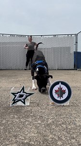 1.9K reactions · 360 shares | Bring on round two of the @nhl playoffs! 聾 | Bide Awhile | Facebook