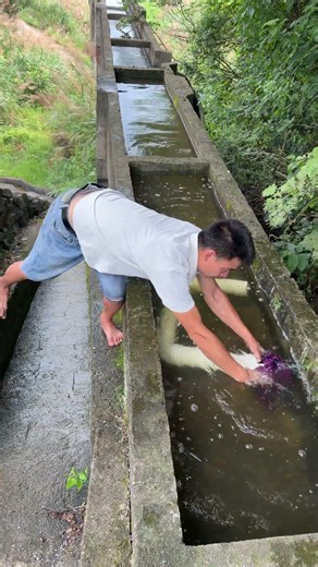 3-Minute Tutorial Install Irrigation Pipe