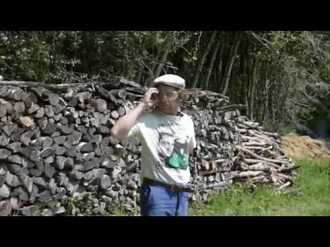 Mickey 3D - J'attends Mylène (Clip Officiel)