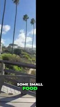 Marine Biosynthesis: Discovering Nature's Secrets #shorts