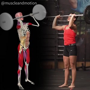 THE PUSH PRESS 🏋 When you're looking to improve shoulder strength, adding some form of an overhead press to your workout routine is essential. You can stay with the strict overhead shoulder press and use relatively light weights. However, if you want to push heavy weights and do more functional exercises, the push press is the exercise you're looking for!👌 According to research done by Soriano, M. A et al., (2020), Olympic lifts like the snatch and clean or jerk can be improved by training the