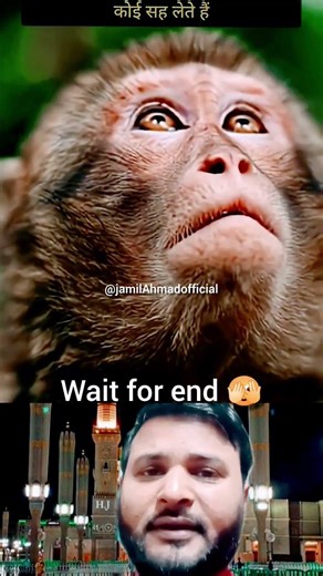 #muhammadﷺ #allah #islamicvideo