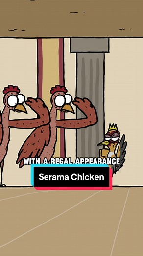 Royal Serama: Majestic Miniature Chicken Breed