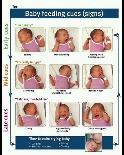 baby feeding cues or sign
