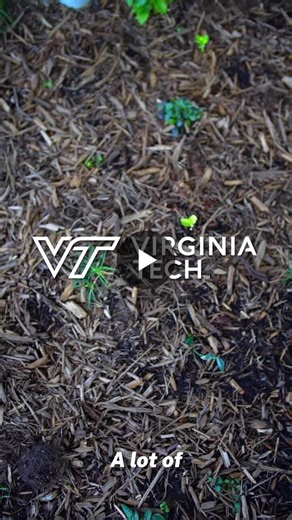 Earlier this year, the National Building Museum held an exclusive behind-the-scenes look at Virginia Tech Academic Building One in Alexandria. Here is a glimpse into the walking tour that I filmed… | Cullen L.