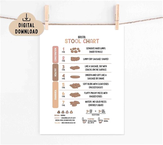 Stool Chart Printable Poster BOHO (digital Download) Bristol Stool Chart Illustration, School Nurse Office - Etsy