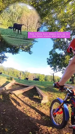 203 reactions · 5 comments | Little fella is curious #cows #livestock #techtuesday #lurkin @betausa @betamotor1905 @betafactoryracing @liquimoly @trialstoreusa @betafactoryracing @jitsietrials #rideability #betatrials #trialsbike #trials #offroad #hardenduro #dirtbikes #motorcycle #twostroke #2stroke #moto | Chris Buzzelli | Facebook