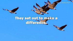 🦢 Wisdom of the Geese – Life-Changing Motivational Video