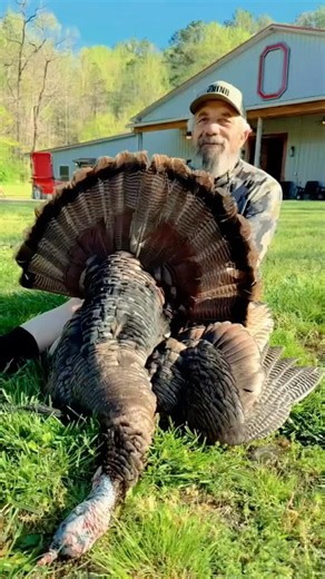 The GRIND‼️🦃 #turkeyseason #turkeyhunting #turkeycall #gobbler #wildturkey #hunting #longbeards