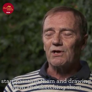 330K views · 4.6K reactions | Meet the artist who beautifully illustrates wildlife guides 曆 | BBC Springwatch | Facebook