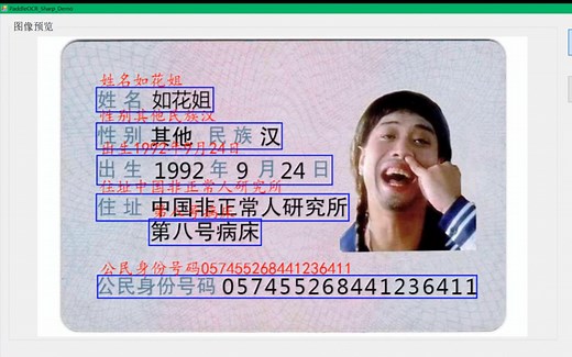 C# OpenCvSharp  PaddleOCR中英文识别效果