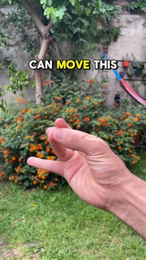 Pouya Saadat on Instagram: "🖐️ Tiny Fingers, Big Benefits! 🧠 Did you know that simple exercises with your fingers and hands can do wonders? From improving finger mobility and preventing trigger finger to boosting brain health and neuroplasticity, these small movements keep you sharp and agile at any age. Start today — your fingers and brain will thank you! 💡✨ #BrainHealth #Neuroplasticity #TriggerFinger #HandExercises #HealthyAging MindBodyConnection FitnessForLife"