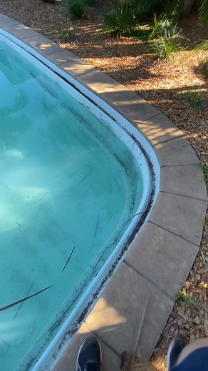 Naked Pool System - Freshwater pool installation #swimmingpool #shorts #freshwater | Robin Murray