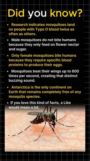 The Mosquito’s Favorite Blood Type