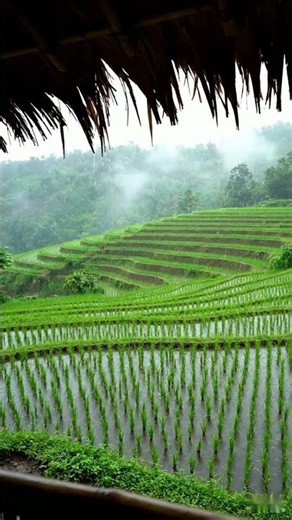 "Serenity Spa: Reconnecting with Nature""Moments of Calm: Traditional Healing Massage""