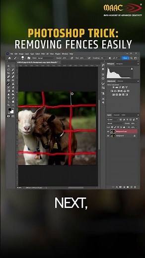 Photoshop Skills Made Easy: Quick Mask + Brush Tool Explained