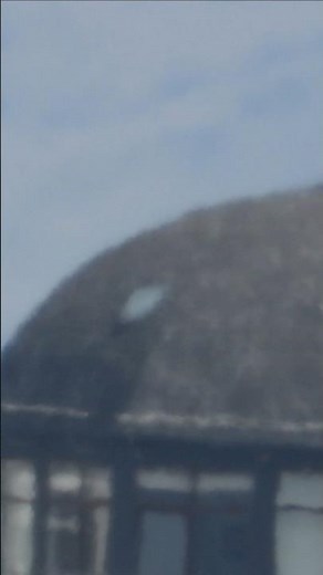 Nikon P1000 Zoom Test