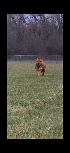 Nick Sebastian on TikTok