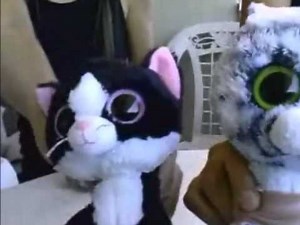 Sydney Reagan Abbey Party Rock Animal Dance