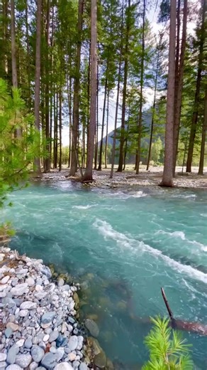 #reflexao #vontadededeus #fe