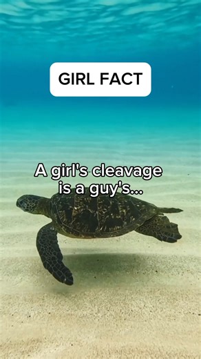 3.2K views | A girl's cleavage is a guy's... #reelschallenge #everyonefollowers #quotes #psychologyfact #reels #everyone #followers #fblifestyle #everyonehighlights | Psychology Daily Facts | Facebook