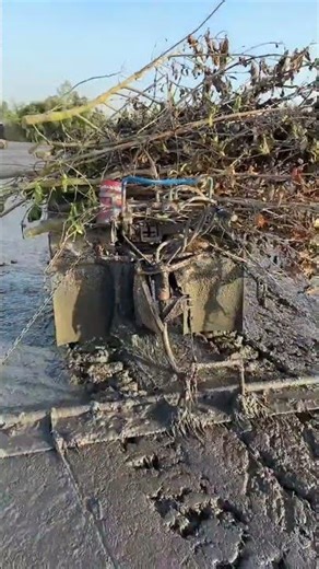 Transform Your Home: DIY Decor Tips for Beginners