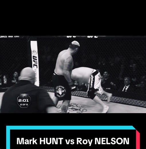 Mark Hunt vs Roy Nelson: A Heavyweight Clash in Tokyo