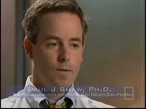 National geographic science of sleep